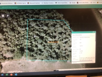 Black River - Cheboygan County  Lot For Sale in Cheboygan Michigan