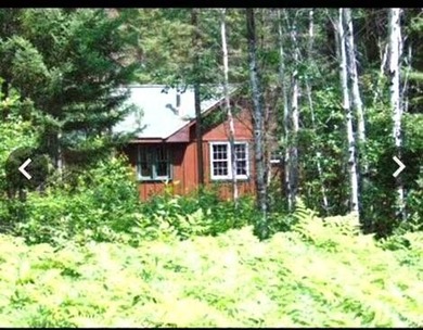 (private lake, pond, creek) Acreage For Sale in Hulbert Michigan