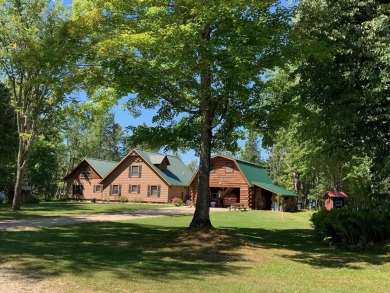 Lake Home For Sale in Curtis, Michigan