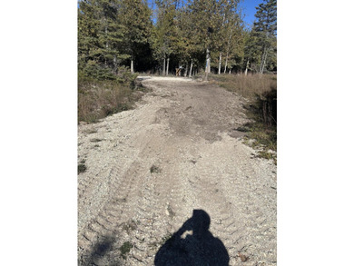 Phenomenal Lake Huron waterfront lots boasting 100.88 feet of - photo 3