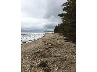 Phenomenal Lake Huron waterfront lots boasting 100.88 feet of - photo 6