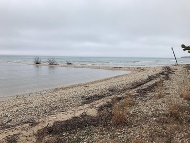 Phenomenal Lake Huron waterfront lots boasting 100.88 feet of - photo 8