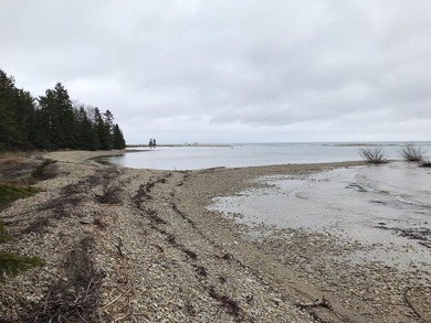Phenomenal Lake Huron waterfront lots boasting 100.88 feet of - photo 9