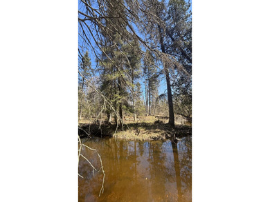 Discover the perfect blend of nature and convenience with this - photo 1