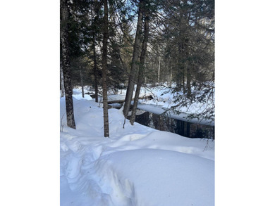 Discover the perfect blend of nature and convenience with this - photo 4