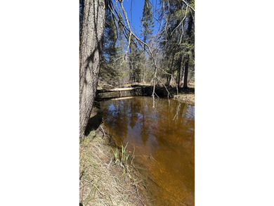 Discover the perfect blend of nature and convenience with this - photo 8