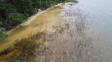 (private lake, pond, creek) Lot For Sale in Gould City Michigan