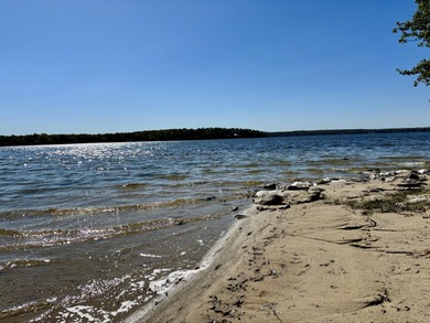 Big Manistique Lake Commercial For Sale in Mcmillan Michigan