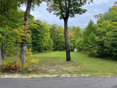 Lake Michigan - Mackinac County Lot For Sale in Saint Ignace Michigan