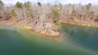 SMITH LAKE/ARLEY, 3 Lots Combined for a Great building lot - Lake Lot For Sale in Arley, Alabama
