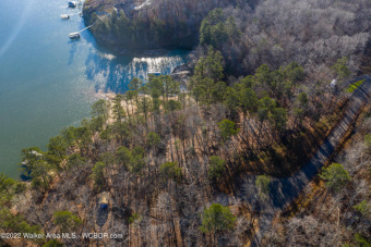 Lewis Smith Lake Lot Sale Pending in Double Springs Alabama