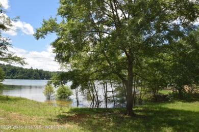 Brushy Creek-Gentle sloping lake lot with easy access to the - Lake Lot For Sale in Houston, Alabama
