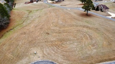 Welcome to Lot 15 Lakeview Court in Jasper, AL! This land is now - Lake Lot For Sale in Jasper, Alabama