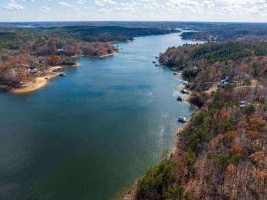 Lake Lot For Sale in Arley, Alabama