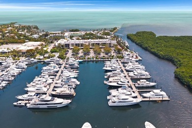 D27 is a premier Dockominium located in the world class Marina - photo 1