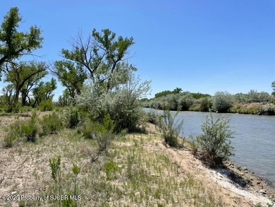San Juan River Acreage For Sale in Bloomfield New Mexico