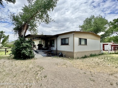 San Juan River Home For Sale in Bloomfield New Mexico