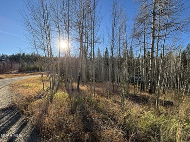 (private lake, pond, creek) Lot For Sale in Fraser Colorado