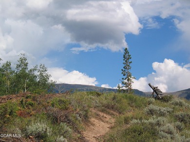 (private lake, pond, creek) Lot For Sale in Fraser Colorado