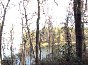 Lake Seminole Acreage For Sale in Bainbridge Georgia