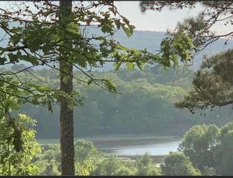 Lake Dardanelle Acreage For Sale in London Arkansas