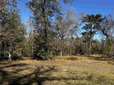 (private lake, pond, coastal) Acreage For Sale in Ragley Louisiana