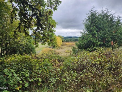 Escape to the serene beauty of Alsea, Oregon, with this unique - photo 2