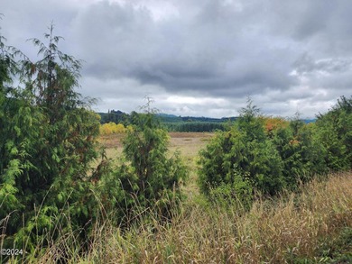 Escape to the serene beauty of Alsea, Oregon, with this unique - photo 4