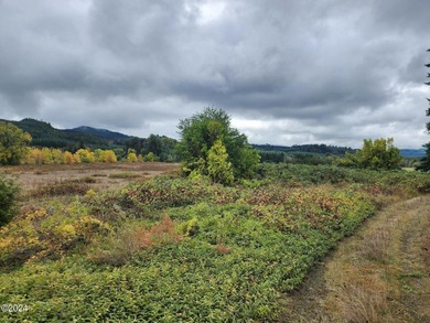 Escape to the serene beauty of Alsea, Oregon, with this unique - photo 5