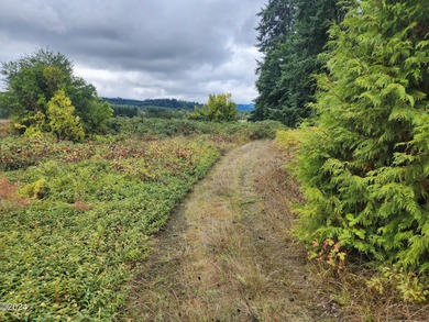 Escape to the serene beauty of Alsea, Oregon, with this unique - photo 7