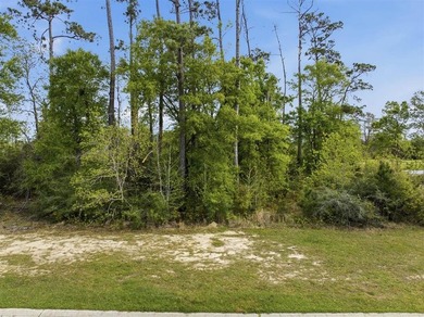 AMAZING PRICE on a beautiful piece of land located in the