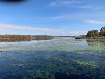 Lake Seminole Lot For Sale in Donaldsonville Georgia