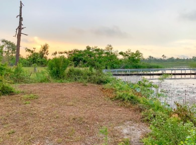 Lake Lot Off Market in Donalsonville, Georgia