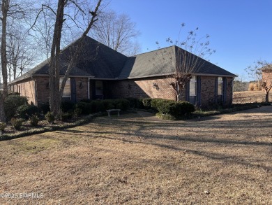 Lake Home For Sale in Collinsville, Mississippi