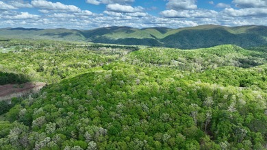 Greenbrier River Acreage For Sale in Lewisburg West Virginia