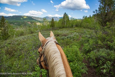 Rare Jackson Hole ranch offering just minutes from downtown - photo 3
