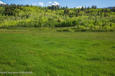 Rare Jackson Hole ranch offering just minutes from downtown - photo 6