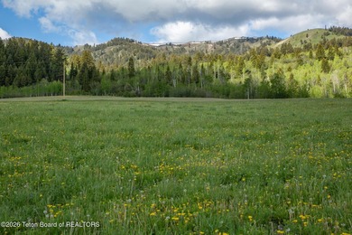 Rare Jackson Hole ranch offering just minutes from downtown - photo 7