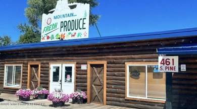 Lake Commercial For Sale in Pinedale, Wyoming