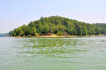 Lewis Smith Lake Acreage For Sale in Logan Alabama