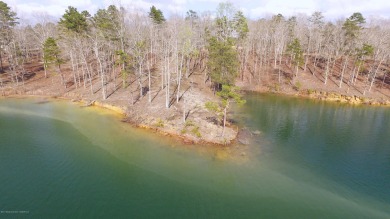 Lake Lot For Sale in Arley, Alabama