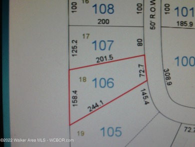 Lot close to Smith Lake. Close to Jasper and located in the - photo 1