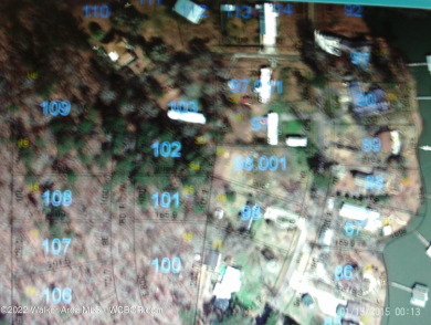 Lot close to Smith Lake. Close to Jasper and located in the - photo 3