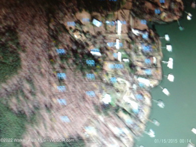 Off shore lake lot in the Curry School District.
Close to - photo 3