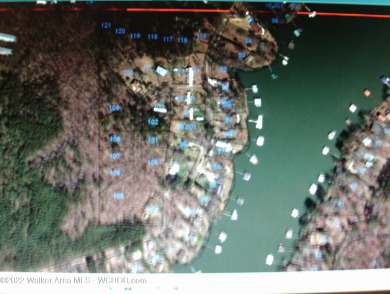 Smith Lake off shore lot located in the Curry Community and - photo 3