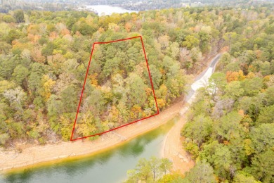 Smith Lake (Ryan Creek)-Nestled between the Lewis Smith Lake Dam - photo 2