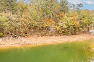 Smith Lake (Ryan Creek)-Nestled between the Lewis Smith Lake Dam - photo 5