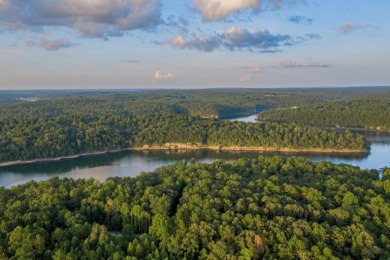 Smith Lake (Ryan Creek)-Nestled between the Lewis Smith Lake Dam - photo 8