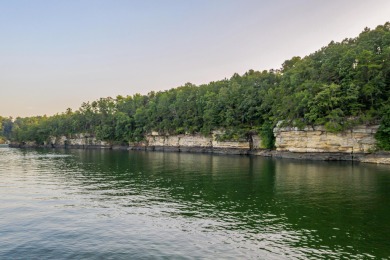 Smith Lake (Ryan Creek)-Nestled between the Lewis Smith Lake Dam - Lake Lot For Sale in Crane Hill, Alabama