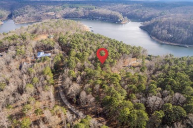 Smith Lake (Crooked Creek) Build your dream home on this 2.8 - photo 2